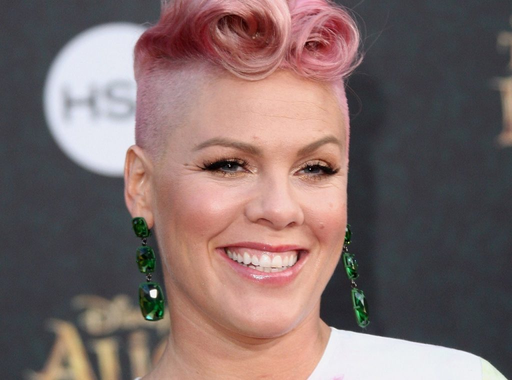 p nk - wild hearts can